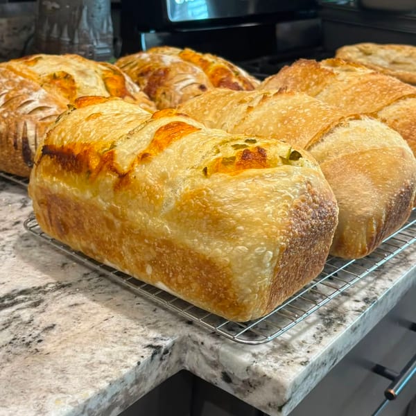 Fresh-baked jalapeno cheese sourdough loaves cooling on a wire rack from Sift Happens.
